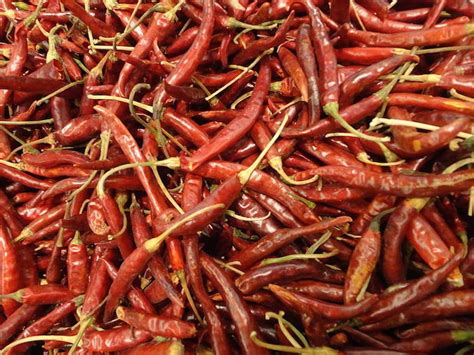 chile de arbol translated in english